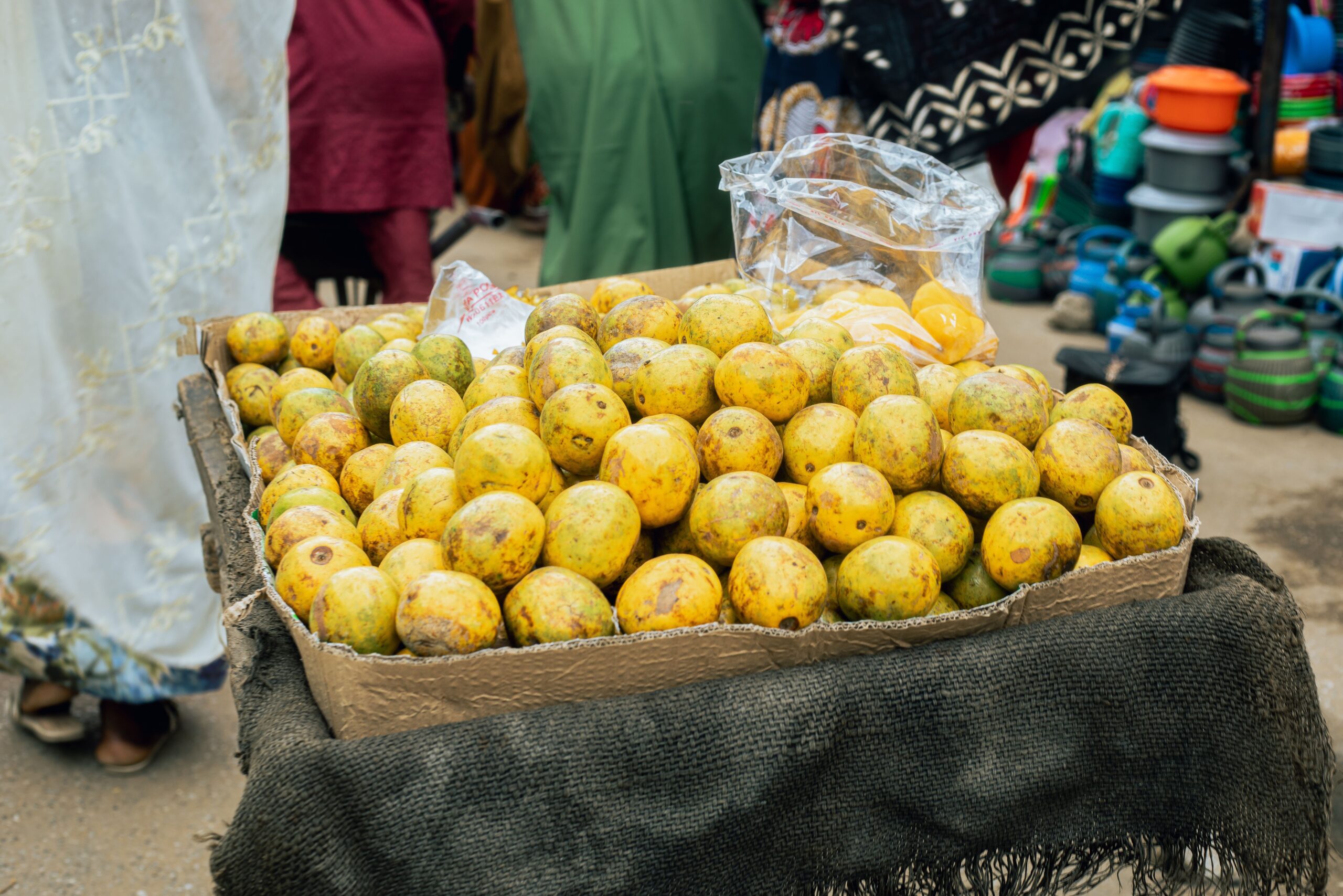 Explored in research for its relationship with healthy weight management.